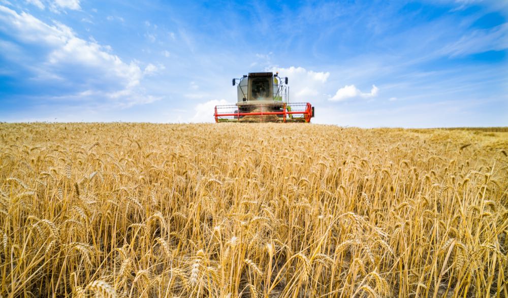 Erntebilanz 2026: Hitze und Trockenheit schmälern Erträge