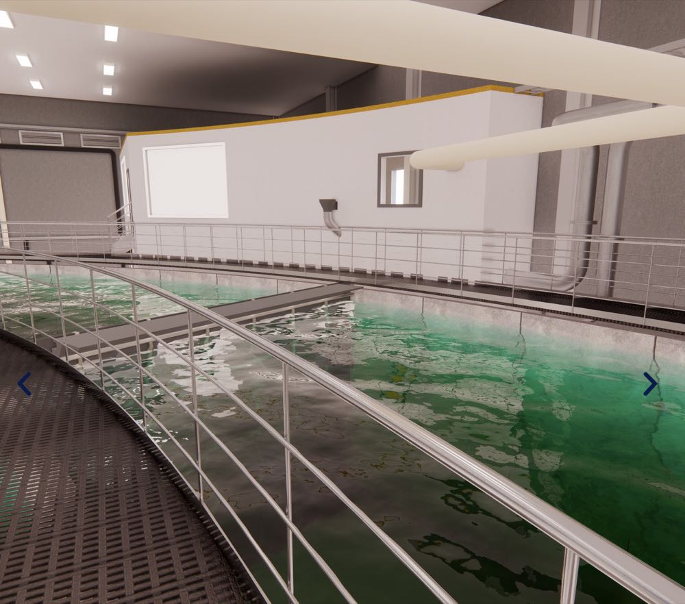 Allgäu: Landgestützte Lachszucht für 1.500 Tonnen Fisch