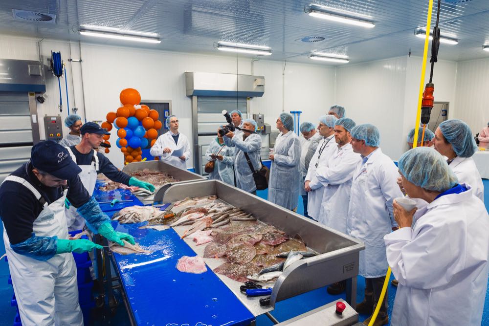 Belgien: Fischereiministerin Crevits besucht Alfa Fish