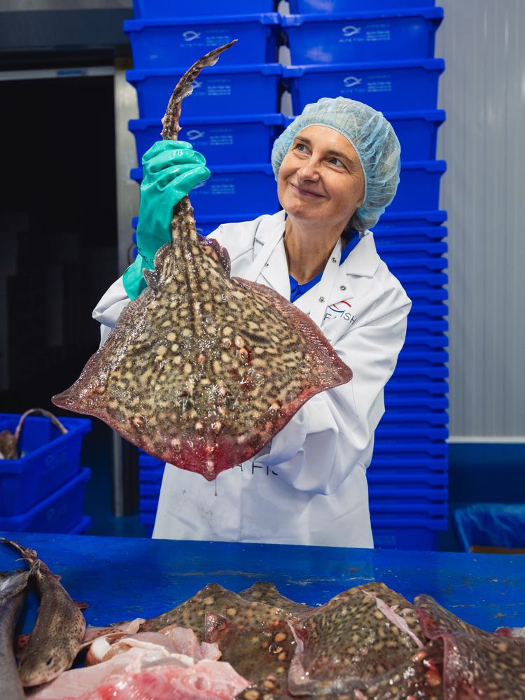 Belgien: Fischereiministerin Crevits besucht Alfa Fish