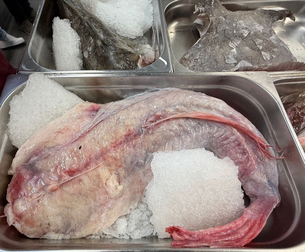 Emden: Exklusives Fischseminar für Kochauszubildende
