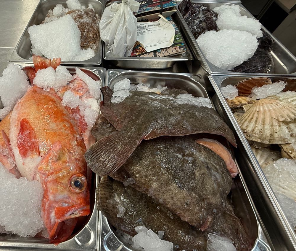 Emden: Exklusives Fischseminar für Kochauszubildende