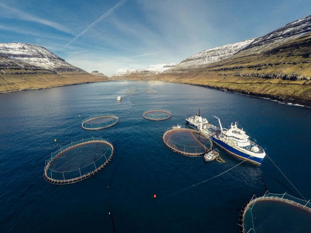 Färöer Inseln: Erstmals Lachsfarmen nach ASC Global Farm Standard zertifiziert