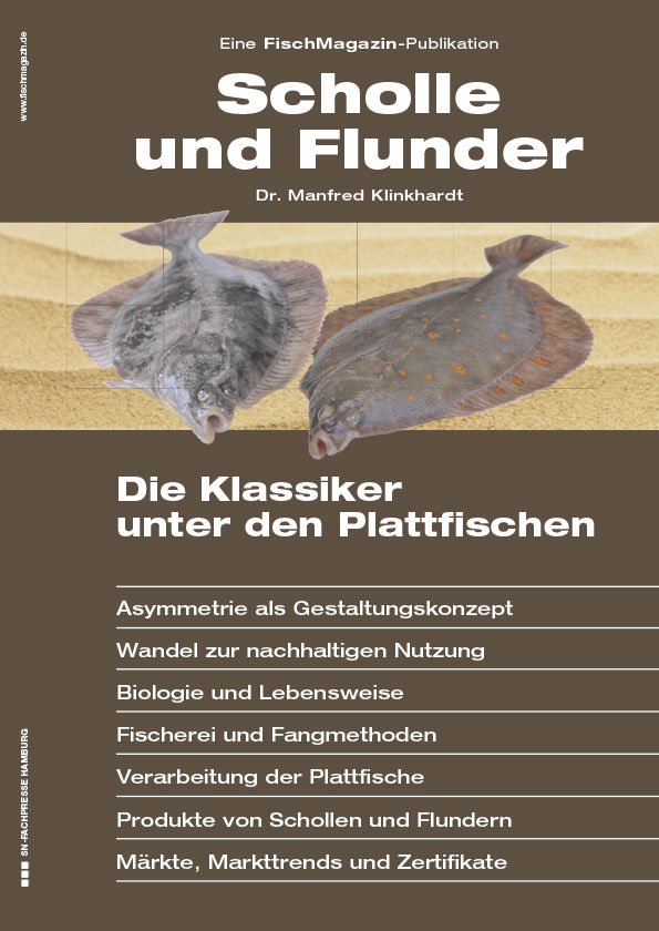 Scholle und Flunder: Die Klassiker unter den Plattfischen