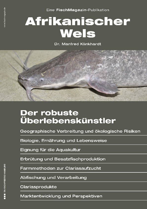 Afrikanischer Wels: Der robuste Überlebenskünstler
