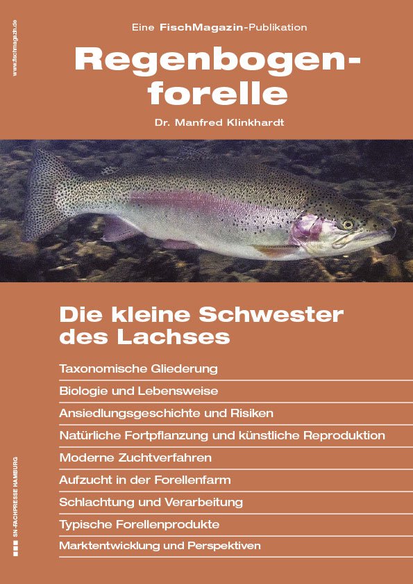 Regenbogenforelle: Die kleine Schwester des Lachses