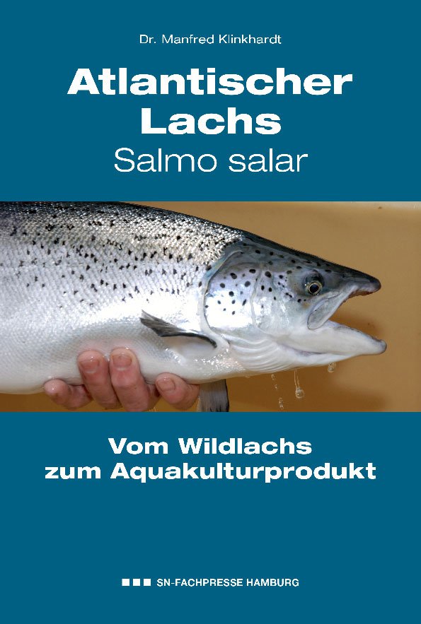 Atlantischer Lachs – Salmo salar